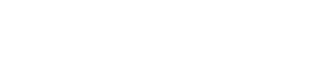 ANDROSLOT77
